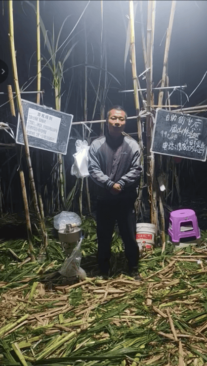 皇冠信用网出租代理
_四川眉山自助“偷甘蔗”老板称有人只“偷”不给钱皇冠信用网出租代理
,当地文旅:已安排人员现场协调